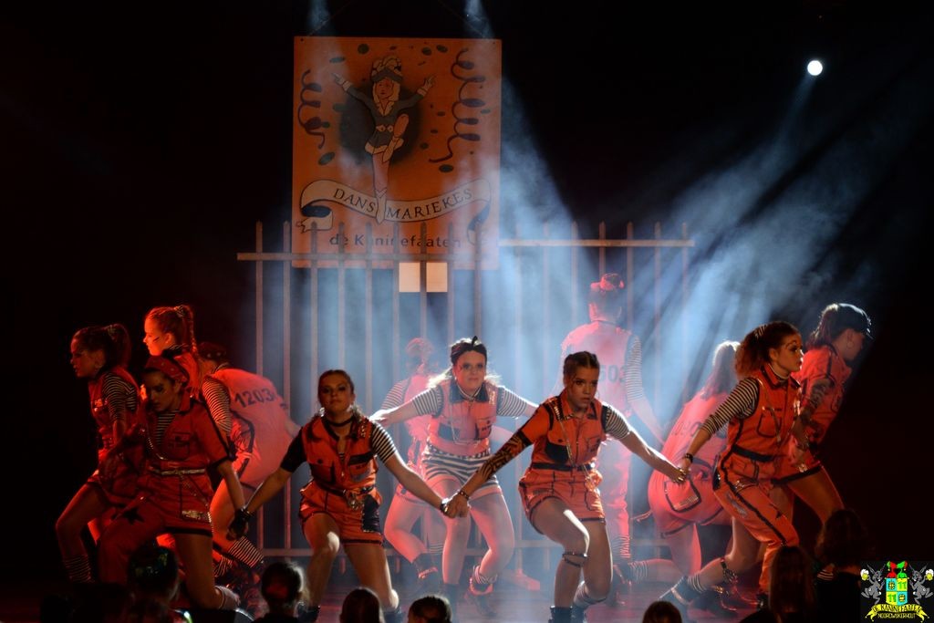 ../Images/Dansmarieke festival 2018 485.jpg